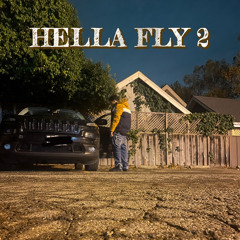 HELLA FLY 2