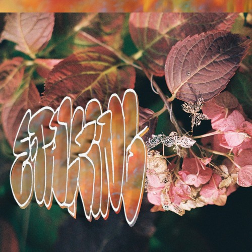 Harvest (Feat. Deep Nalström)