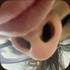Viet pluggnb