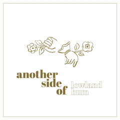 A Drive Through The Countryside