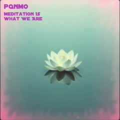 Meditation Is What We Are