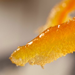 bgboo - orange peel (demo)