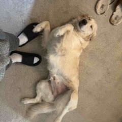 Drinks On Me - Discord Sample Pack Tune.wav