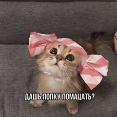 a ты падал в люк? "deluxe edition"