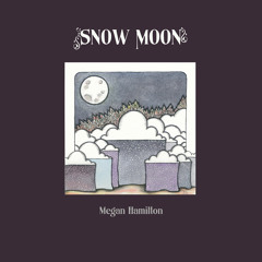 I Always Wanted to Visit Seattle (feat. Jim Bryson producer)