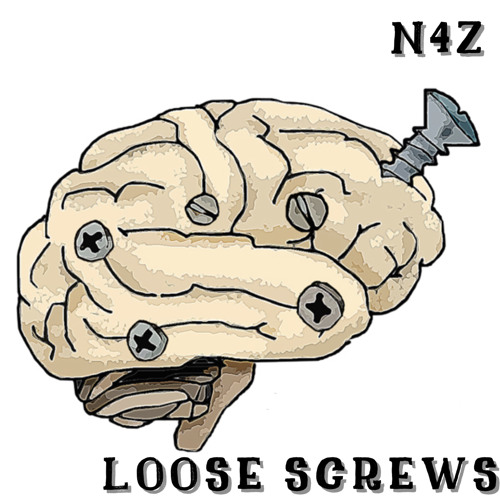 N4Z- LOOSE SCREWS