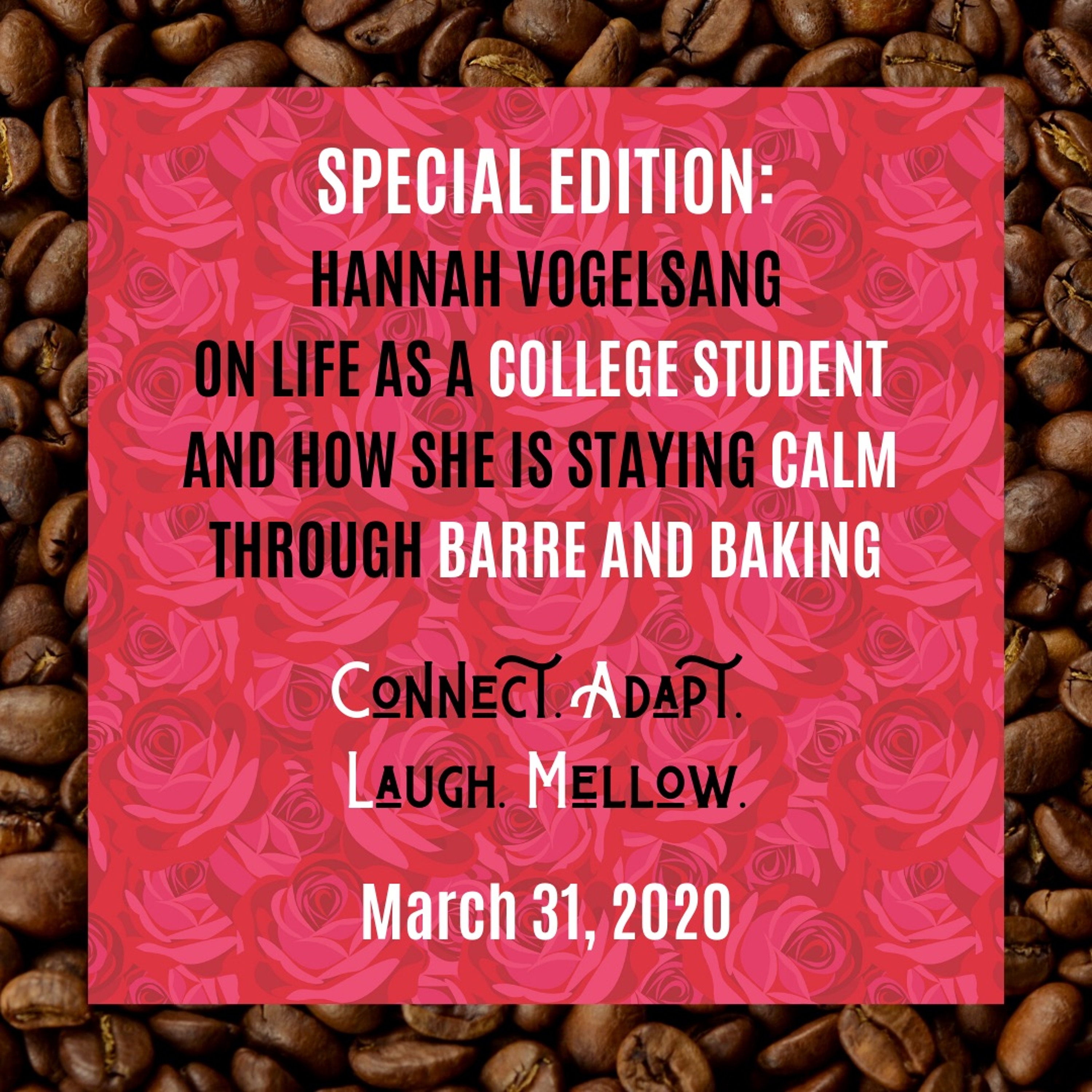 SES1E7: Barre and Baking with Hannah Vogelsang (From the IP Archives) episode artwork