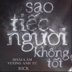 Vuong Anh Tu - Sao Tiec Nguoi Khong Tot / Rick x Hoai Lam