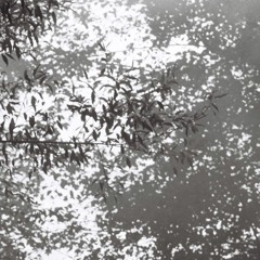 Kanapee Nordwand — KuH 2024