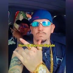O DJ FAZ ASSALTO - HEADSHOT ( DJ VEINHO PROD )Feat. Mc Buraga & Mc MN