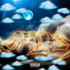 Lil Nasty-Fly