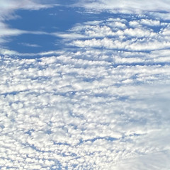 Wind Charms