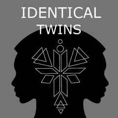 Identical Twins