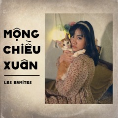 Mộng Chiều Xuân