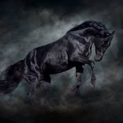 DARKHORSE