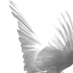 As the sand slipped through my fingers, I realized you were already gone.