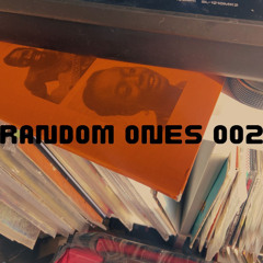 RANDOM ONES 002 /// 03.04.26