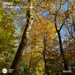 Taygo - 13 November 2025