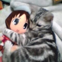 bittersweet (+@etern1 +plzrobme)