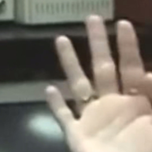 Bones - CrampYourStyle (Unreleased)