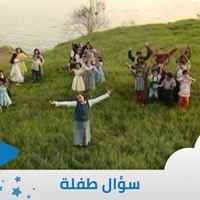 Les Oiseaux طائر النورس Audio Cd Compact Disc