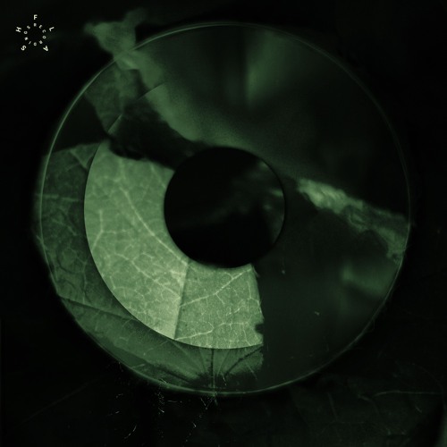Claude B - Wave Bones