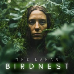 BIRDNEST #150