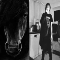horse 🐎 🐎 🐎 (prod. lifemage)
