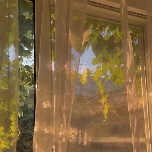 🌼 Daylight - JAIE x NYK