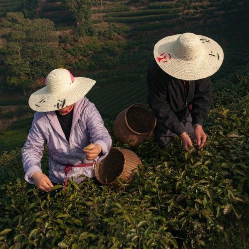 đám cưới remix