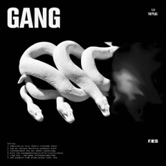 GANG Rmx