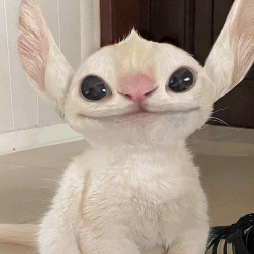 TÀN CẢNH REMIX - Finn T x SS Remix