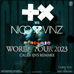 Martin Garrix & Third Party vs. Nico & Vinz - Carry You vs. Am I Wrong (World Tour Mashup)