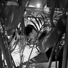Frakktal Live - Illusive Rythm @ All My Friends - 25/09/2025