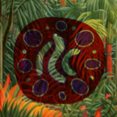 Türen Live @ Primal Nature Ecstatic Dance (St. Pete, FL 3/25/23)