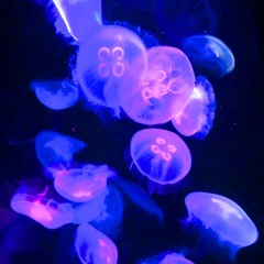 Fluoressence