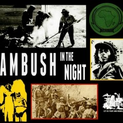 AMBUSH IN THE NIGHT Bob Marley Cover