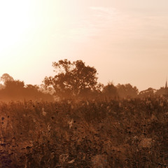 Nether-nether Land