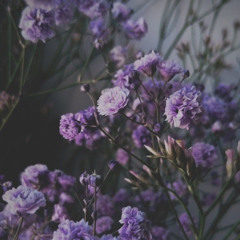 If We Have An Affectionate Love (instrumental)