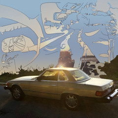 D.U.I (Driving Under Instropection)