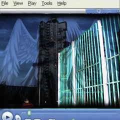 tvoi zvuk (prod. Playasin)