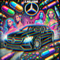 T.H.B (Take His Bitch)