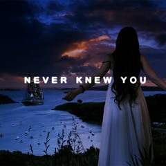 Never Knew You