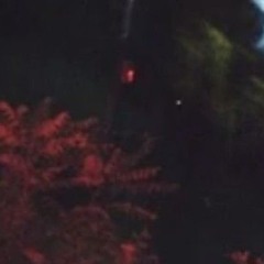 ERROR 503.. (PROD. SAVE ME)