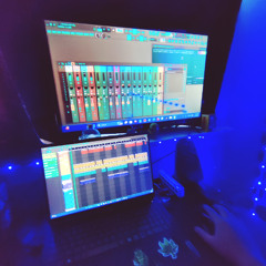 MadFace - This Flip  W.E.R.K