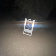 but i’d take you back