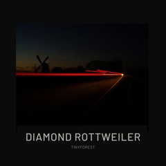 Diamond Rottweiler