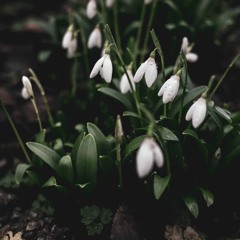 These Days (Lexicon Bootleg)