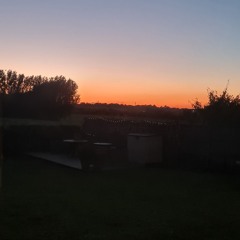 THIS IS WHAT IT FEELS LIKE TO BE HIGH