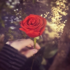 Kadis - Коршун